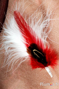 Composition coq-faisan -  12 cm x 3 cm - blanc-rouge